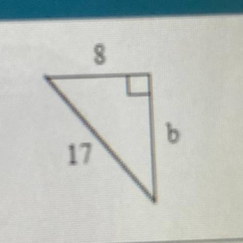 Find the length of the third side of the right triangle.

The length of the third side is ____
(Si
