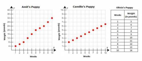 Is the relationship for Olivia’s puppy’s weight in terms of time linear or nonlinear? Explain your