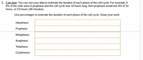 Calculate: You can use your data to estimate the duration of each phase of the cell cycle. For exam