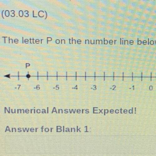 The letter P on the number line below represents the number

(Use the hyphen for negative numbers