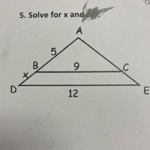 Using proportion in triangles solve for y