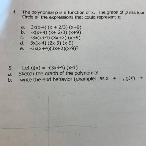 HELP! I need help on number 5 quick pls n thank you