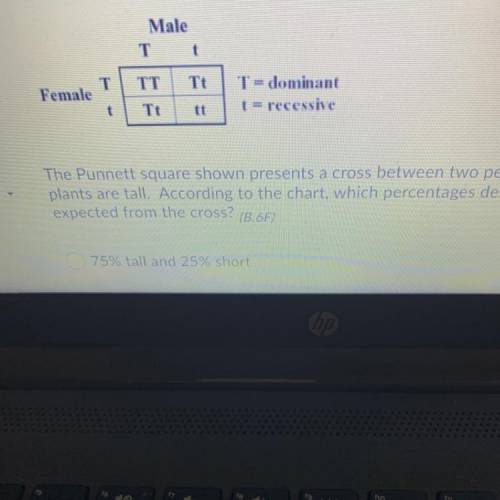 PLEASE HELP FAST

The Punnett square shown presents a cross between two pea plants. Both parent
pl