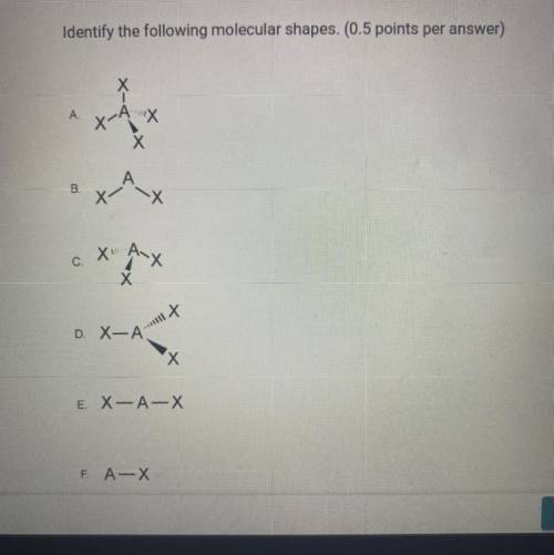 Identify the following molecular shapes. (0.5 points per answer)

xat
X
B
c. X. Ax
Х
x x
X
D. All