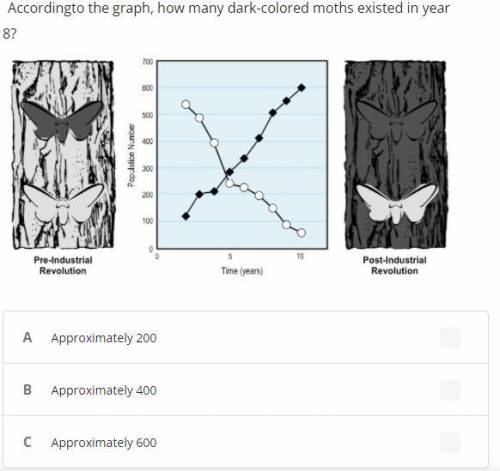 •Accordingto the graph, how many dark-colored moths existed in year 8?