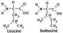 The structures of the amino acids leucine and isoleucine are shown:...

1. Explain how the structu