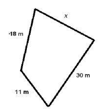 If the perimeter of this polygon is 83 meters, what is the length of the missing side?

A. 24 m
B.