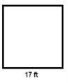 What is the perimeter of the square?

A. 17 ft
B. 34 ft
C. 48 ft.
D. 68 ft.