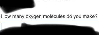 How many oxygen molecules do you make?
