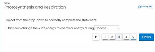 Select from the drop-down to correctly complete the statement.

Plant cells change the sun’s energ