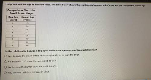 PLEASE HELP NOW

Is the relationship between dog ages and human ages a proportional relationship?