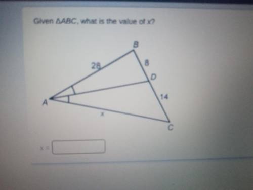 I need help on this please. I am really struggling.