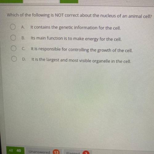 Which of the following is NOT correct about the nucleus of an animal cell?