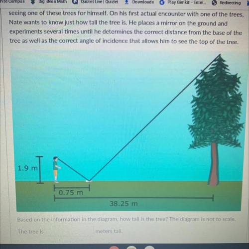 Based on the information in the diagram, how tall is the tree? the diagram is not a scale.