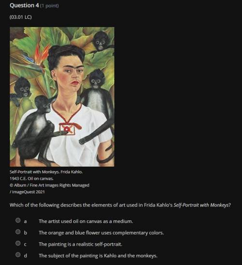 Which of the following describes the elements of art used in Frida Kahlo's Self-Portrait with Monke