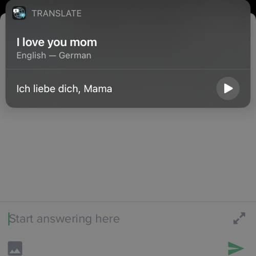 How do you say i love you mom in german