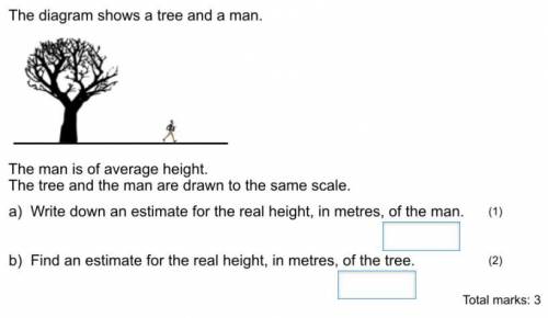 The diagram shows a tree and a man.

The man is of average height. The tree and the man are drawn