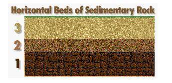 Which bed of sediment was deposited first?

A) Cannot be determinedB) Bed 3C) Bed 2D) Bed 1