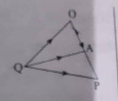 In the given figure PA = PQ. Prove that: 40A = 3 OP + QP