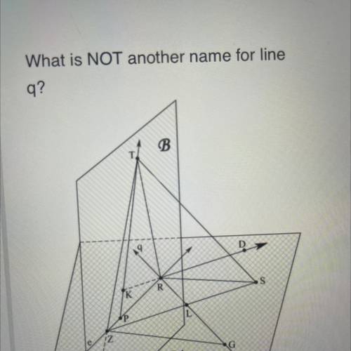 What is NOT another name for line

q?
B
S.
R
K
P
12
e
G
M
IN
