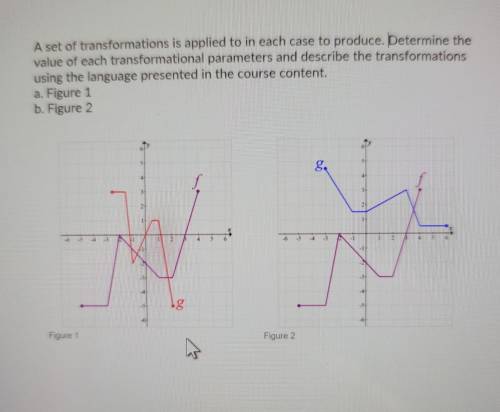 Hello I need help with these 2 questions.