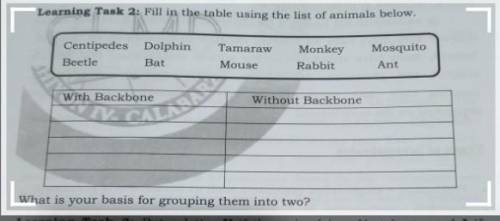 Learning Task 2: Fill in the table using the list of animals below. Tamaraw Centipedes Beetle Dolph