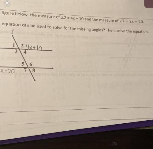 It’s asking to write an equation but I don’t understand . I don’t know what’s the answer