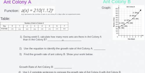 Plzzz help,Let's compare two ant colonies: Ant Colony A and Ant Colony B. We will use a function, a