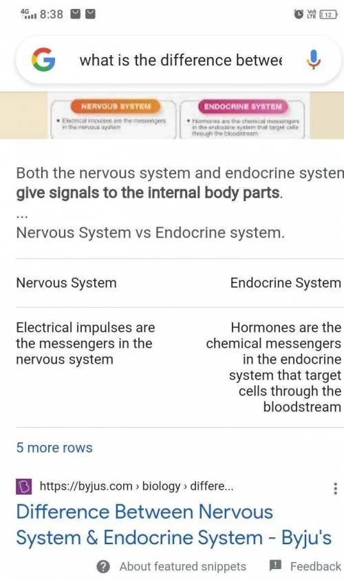 What is the difference between nervous and endocrine system