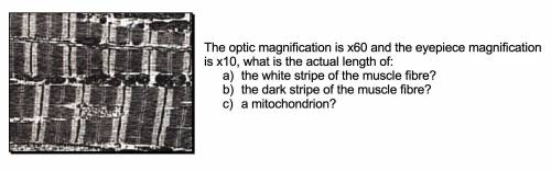 I need help with this biology question 35 points