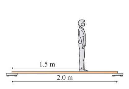 A 62 kg student stands on a very light, rigid board that rests on a bathroom scale at each end, as