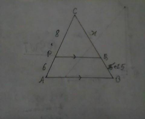 Solve for x.
that is all thats provided for the question