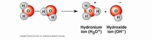 As shown in the diagram below, the __________ of water occurs when the hydrogen bond between

two