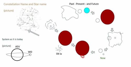 What stages will the Binary star Sabik go through until the end of its life?

(Picture for referen