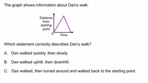 The graph show the info about Dan's walk.