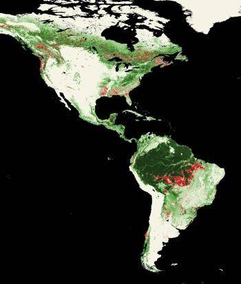 Suppose that deforestation continues to increase as the human population increases. How will this m
