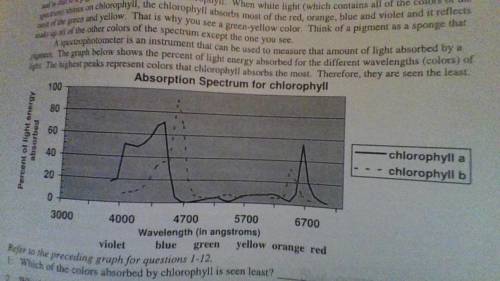 Which of the colors absorbed by chlorophyll is seen least?

Which color is absorbed second most?
W
