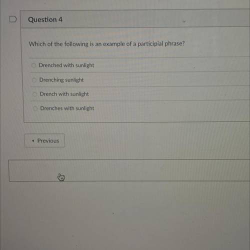 Which option is correct? #4