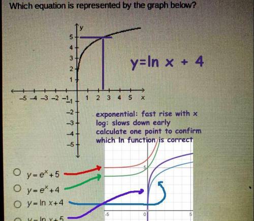 Which equation is represented by the graph below?

GO
V
5
4
A
NW U1
3
21
1+
-543-2 -11
1 2 3 4 5
-2