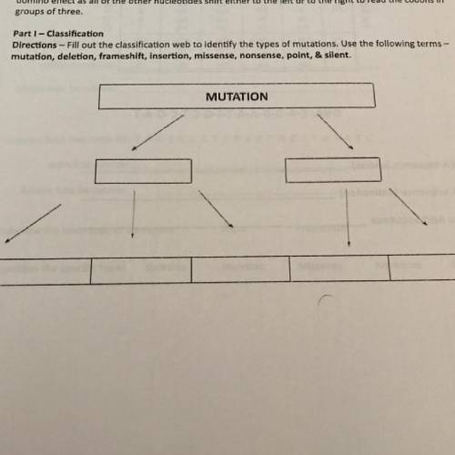 Part 1 - Classification

Directions - Fill out the classification web to identify the types of mut