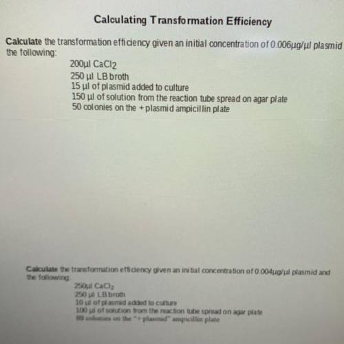 Calculate the transformation efficiency given an initial concentration of 0.006ug/ul plasmid and