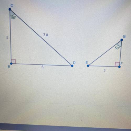 In the right triangles shown, the measure of angle BCD is the same as the measure of angle EGF. Wha