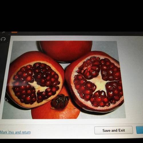 This photograph shows what a pomegranate looks like once you have removed the￼