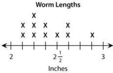 Abe measured the lengths of several worms. He made this line plot to display his measurements.

Ab
