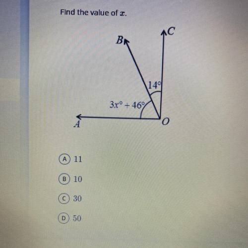 What is the value of x.?