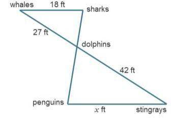 100 POINTS AND BRAINLIEST

If the distance from the Sharks to the dolphins is 12ft, what is the di