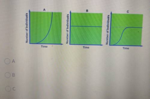 Which graph is an exponential growth model?